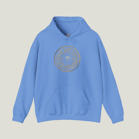 Mirror Hoodie Blue